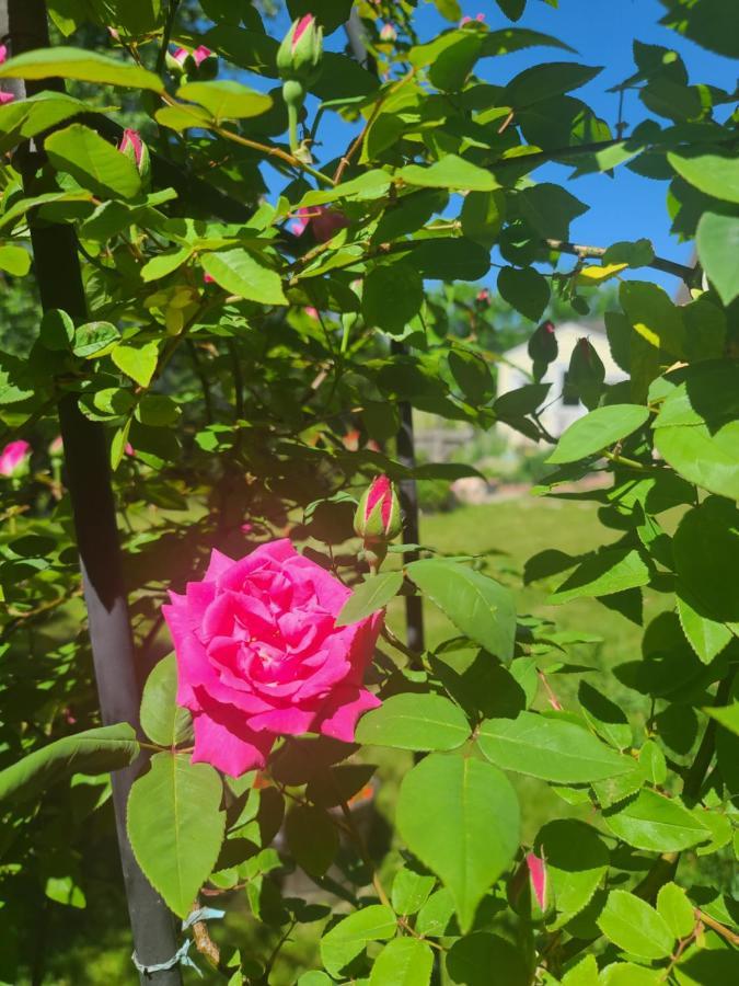 Park View South Of Boston - Quincy公寓 外观 照片